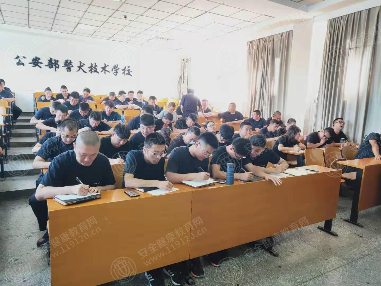 沈阳警犬技术学校  齐鑫昱.jpg