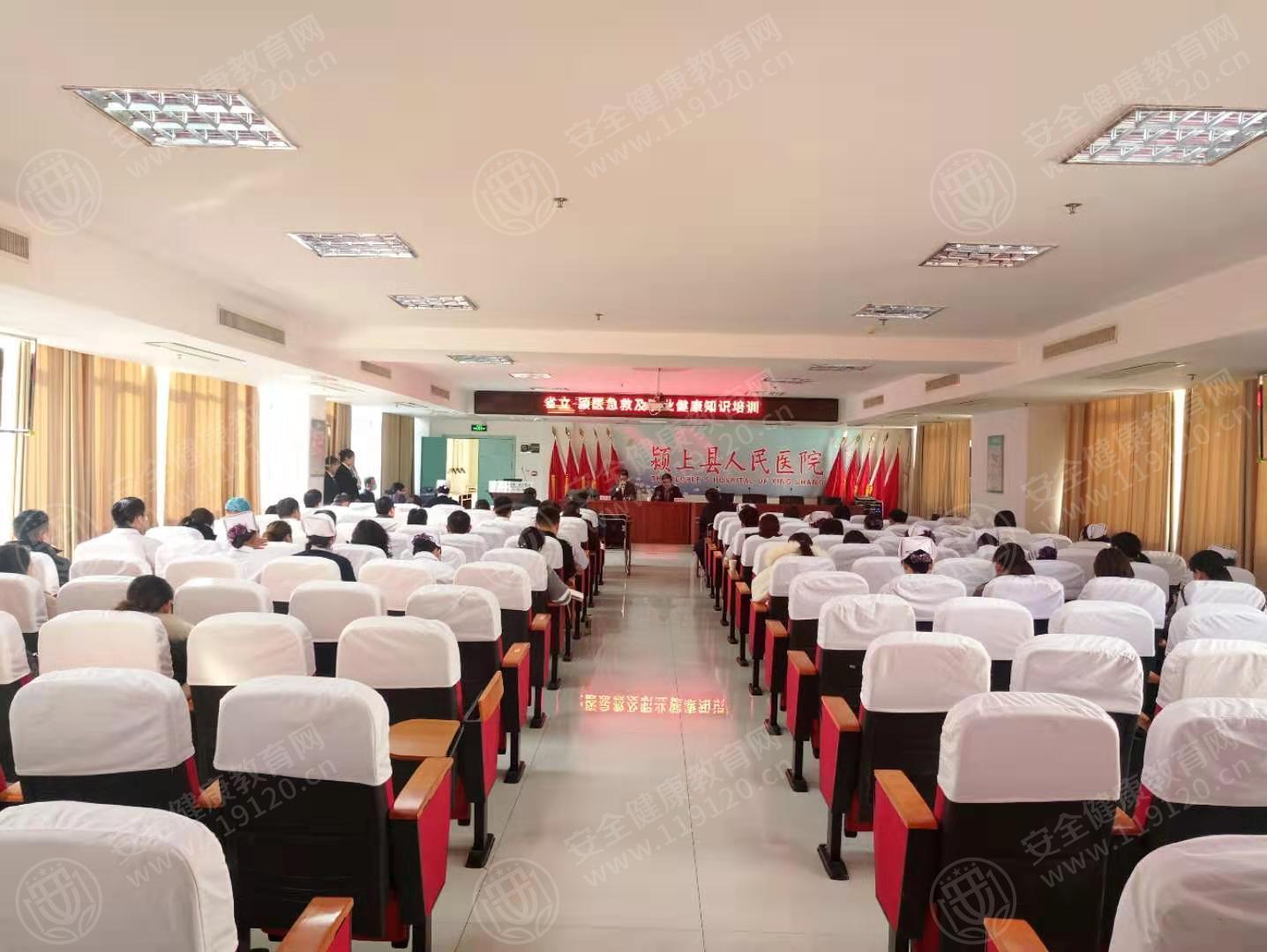 文中图片 文中图片