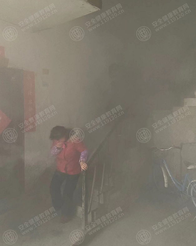 文中图片