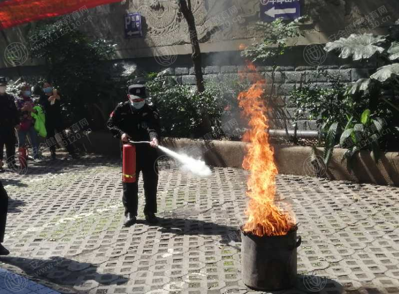 文中图片