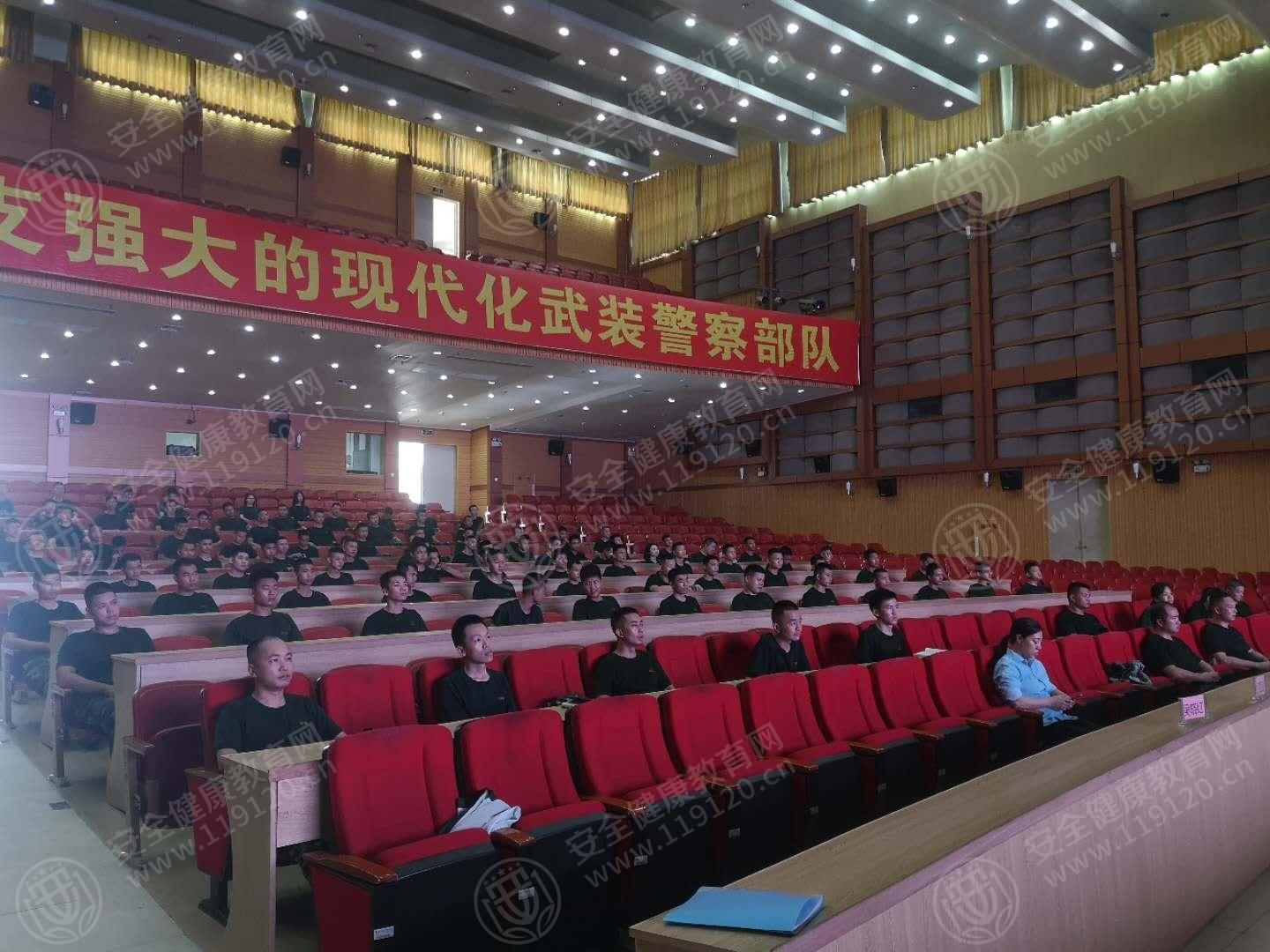 文中图片 文中图片