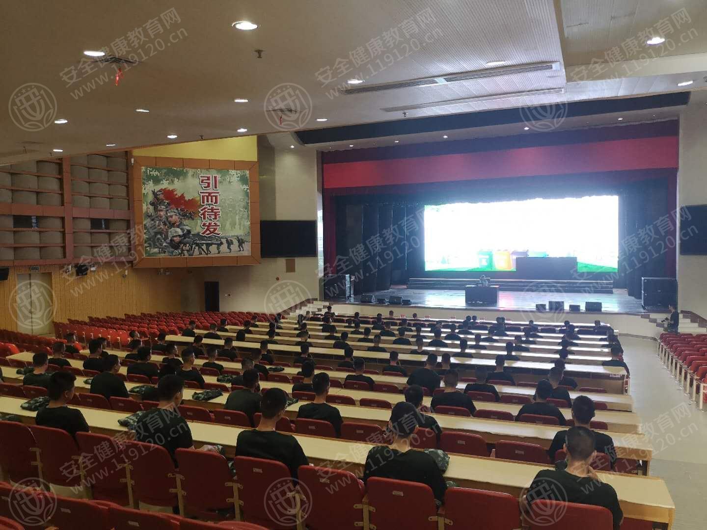 文中图片 文中图片