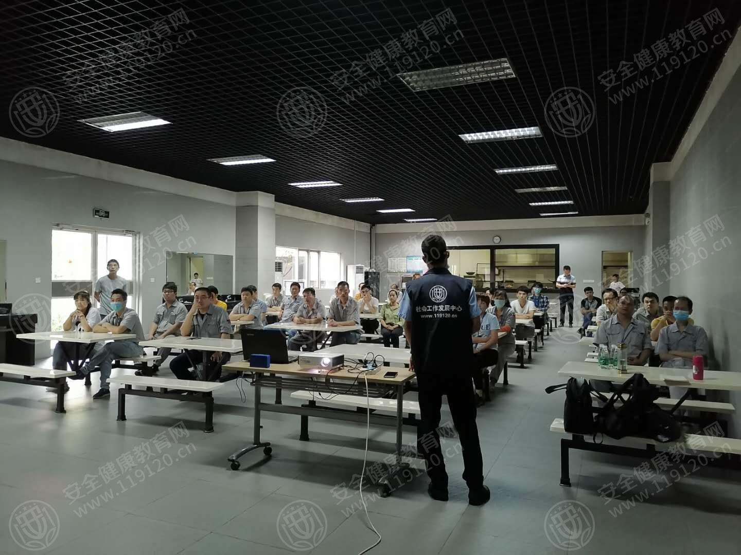 文中图片 文中图片