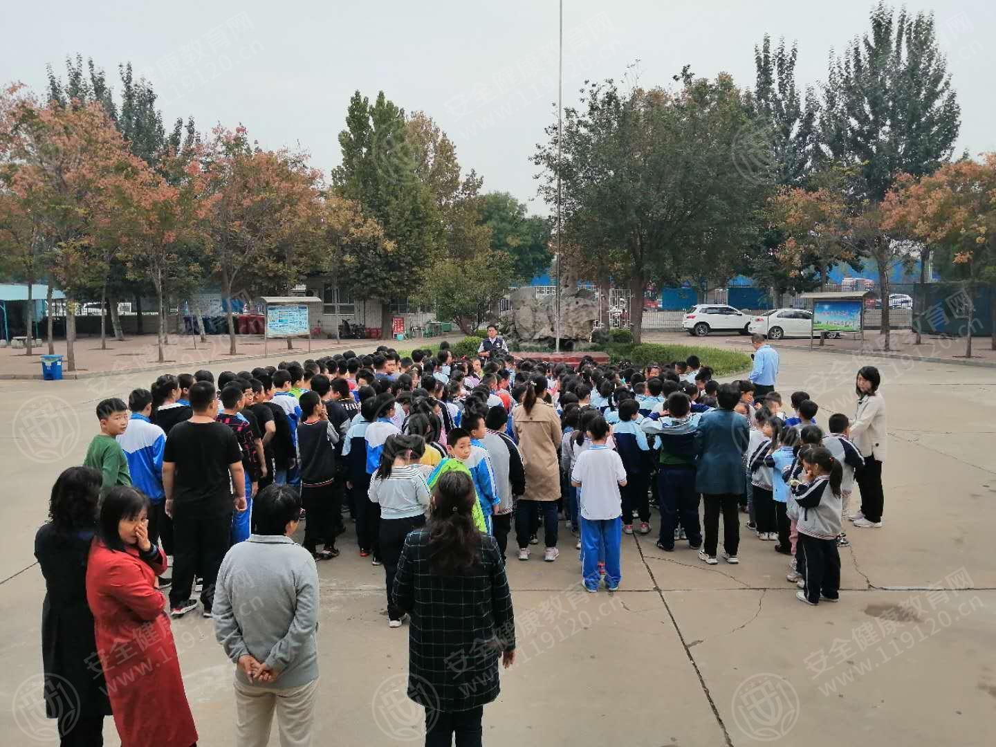 文中图片