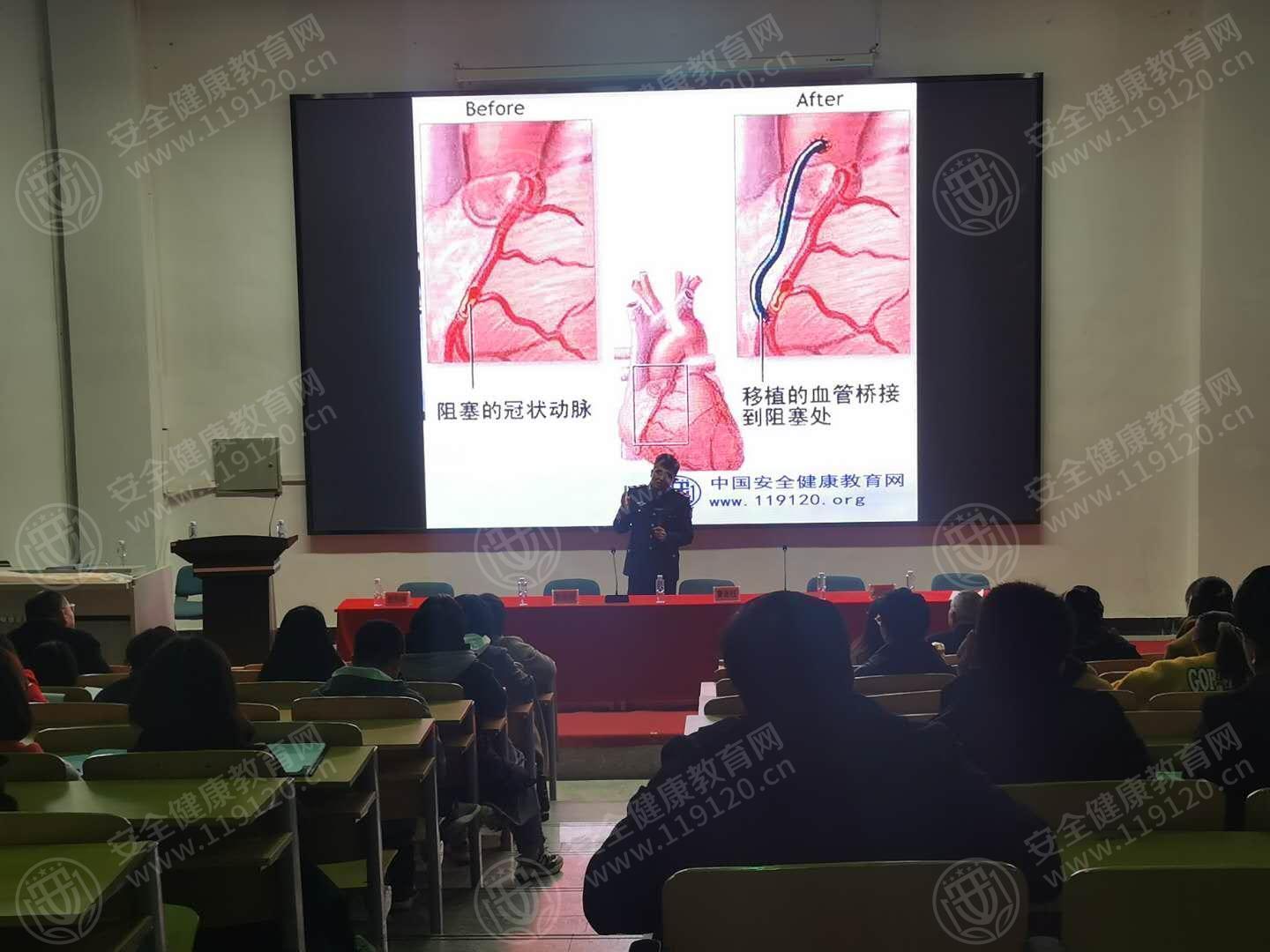 文中图片