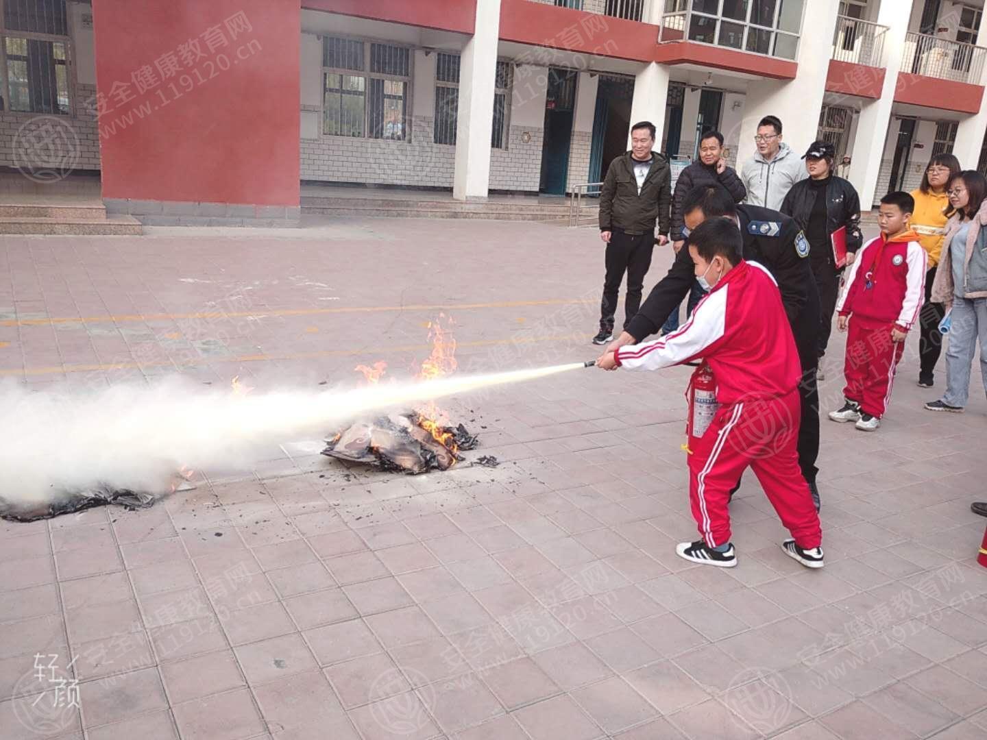 文中图片 文中图片