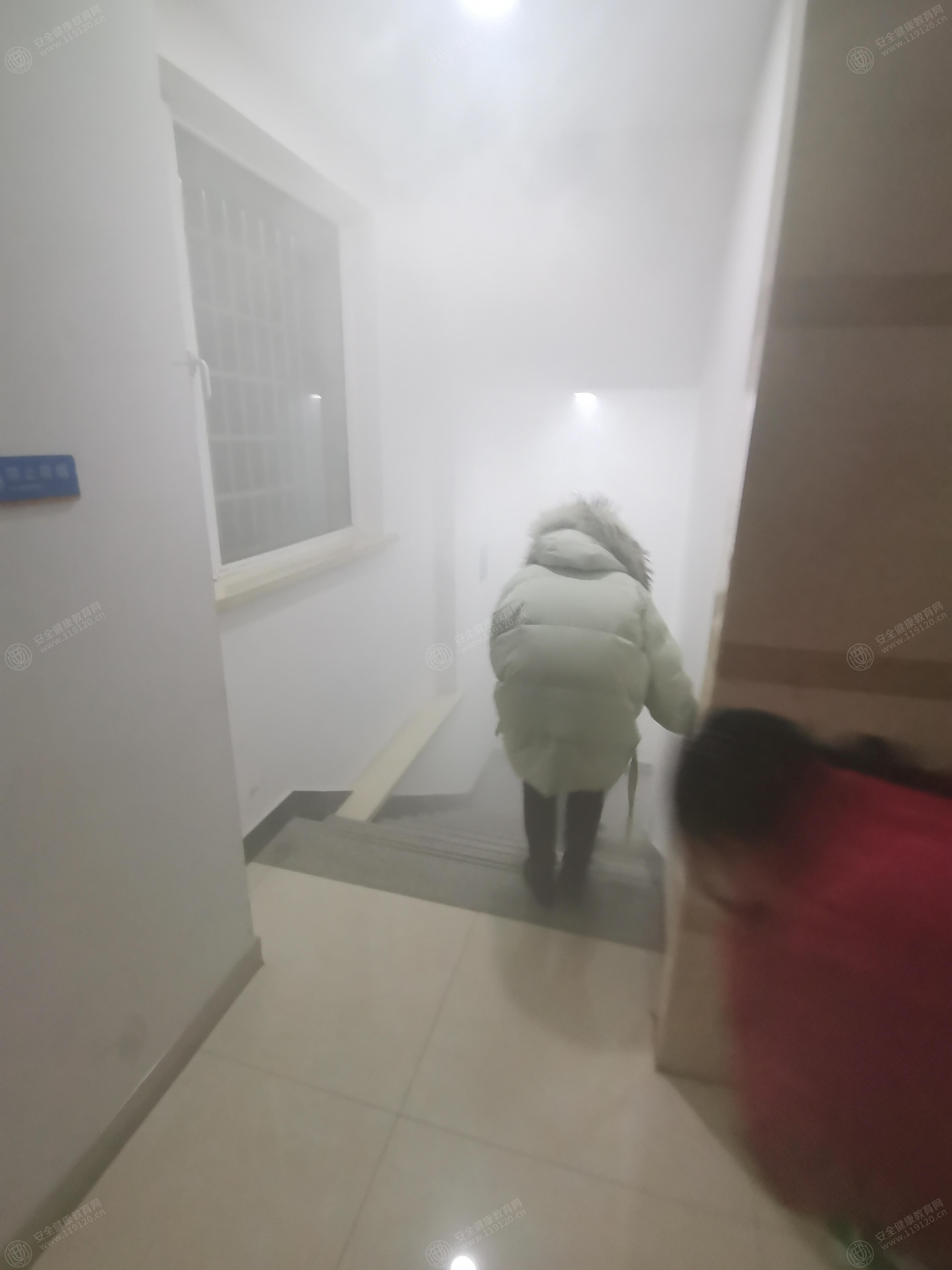 文中图片 文中图片