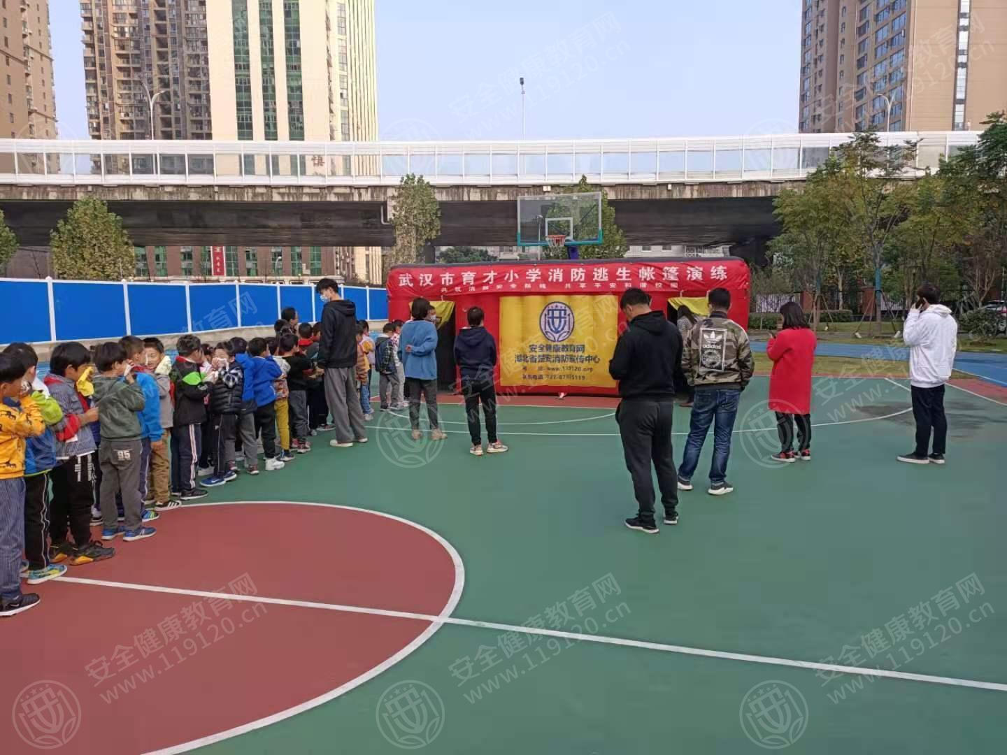 文中图片