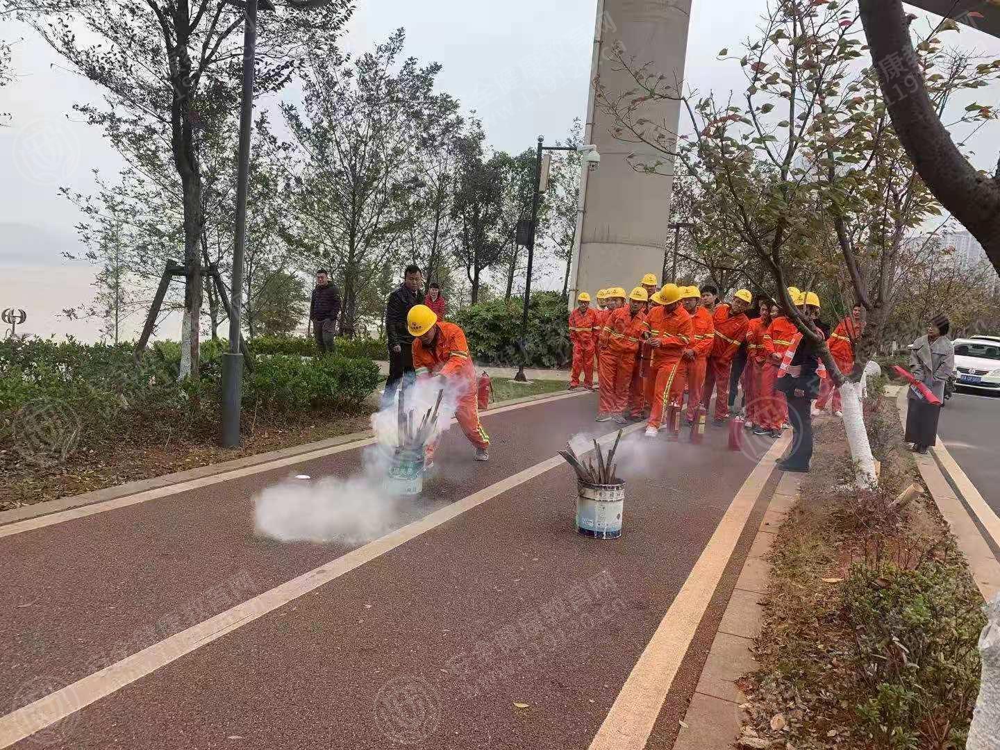 文中图片