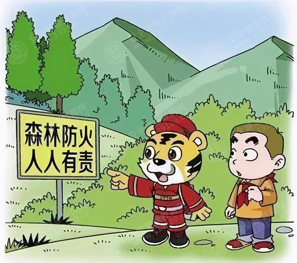 文中图片