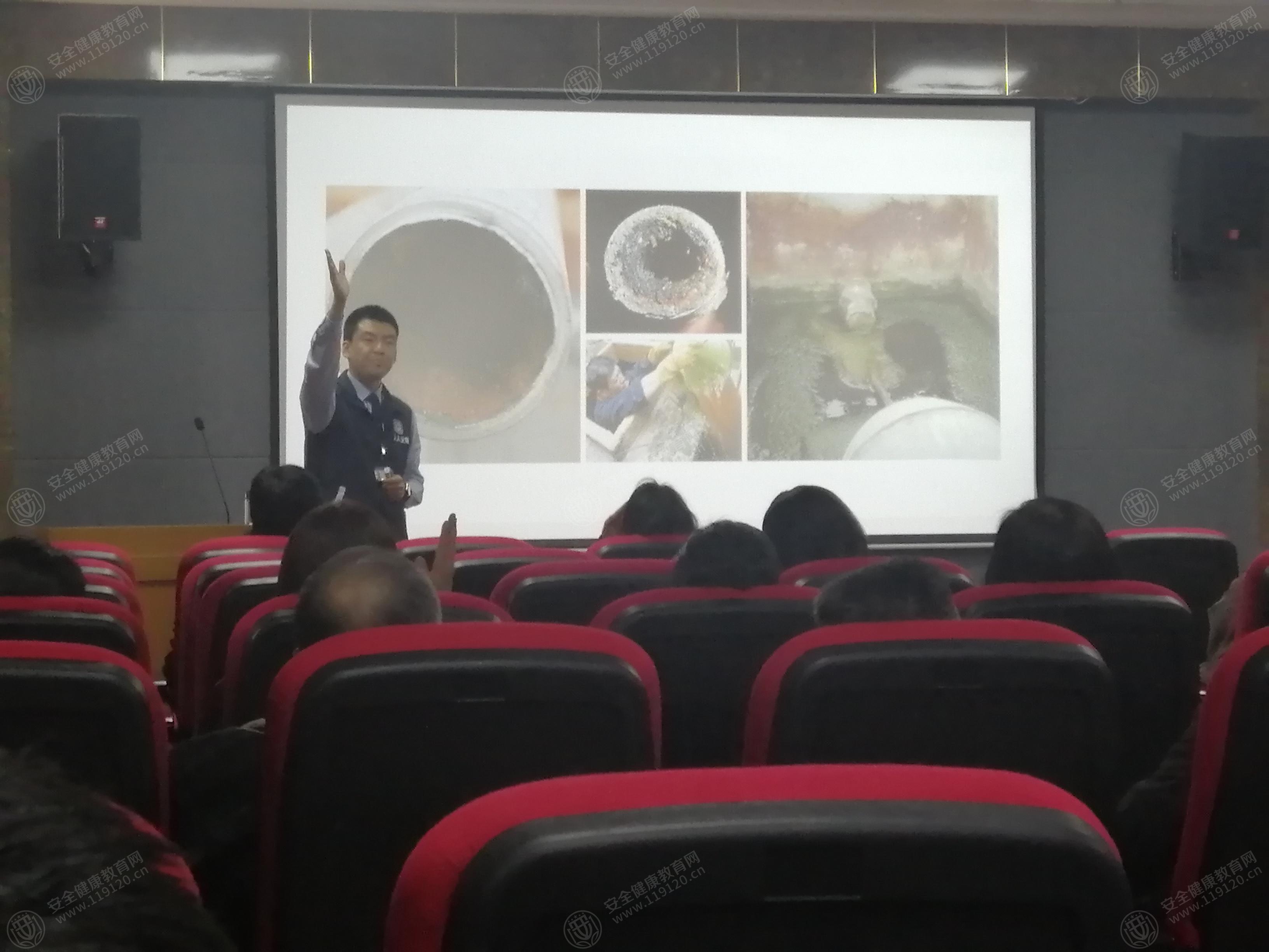 文中图片 文中图片