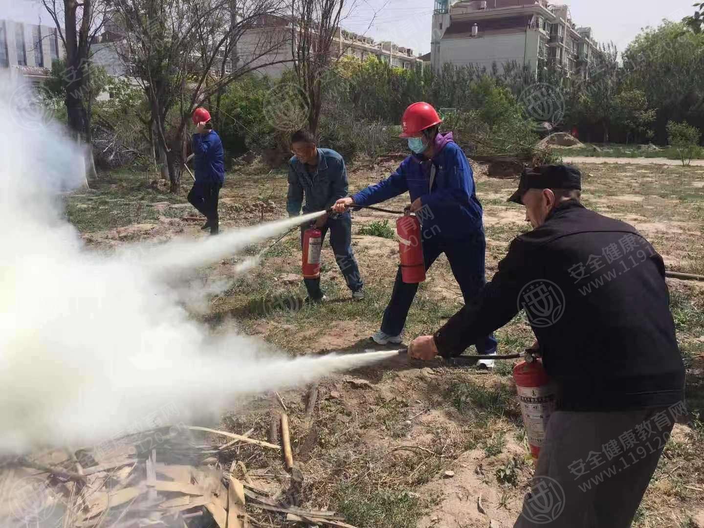 文中图片 文中图片
