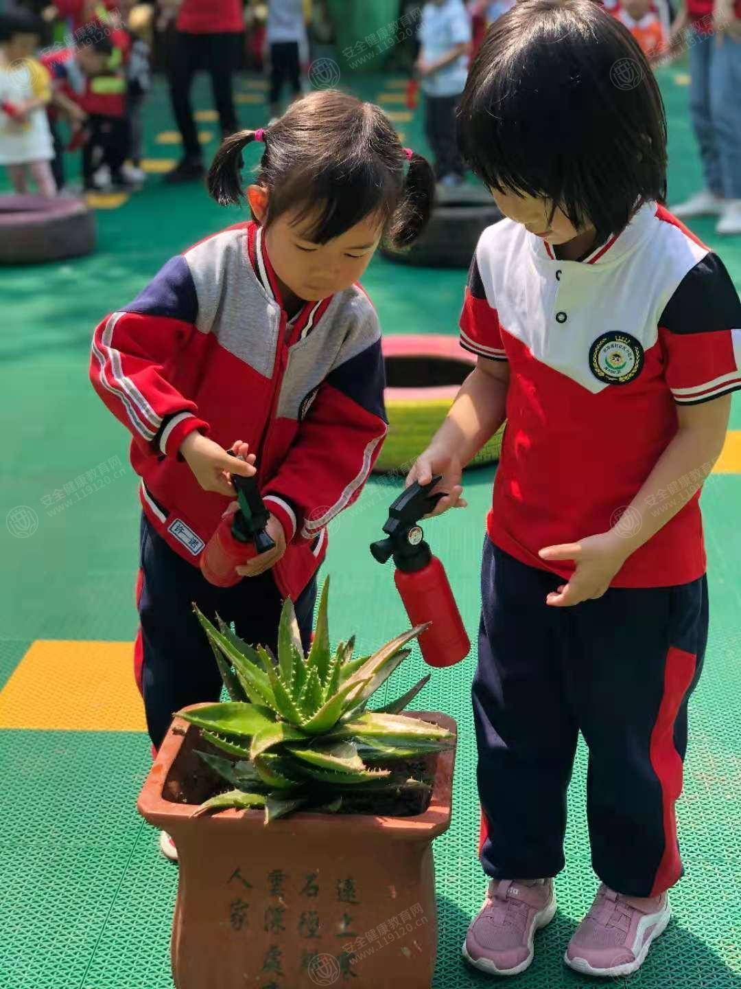 文中图片