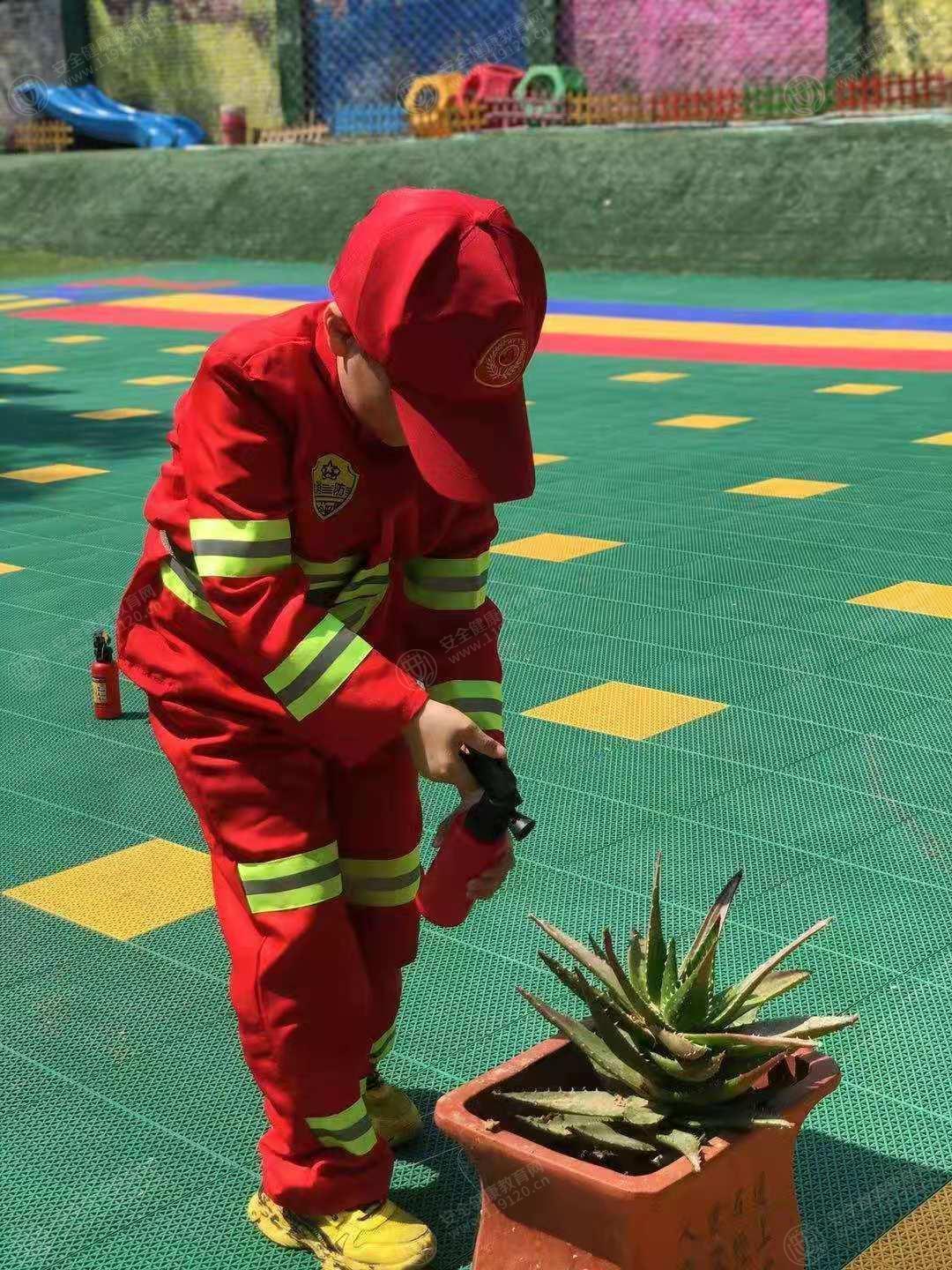 文中图片
