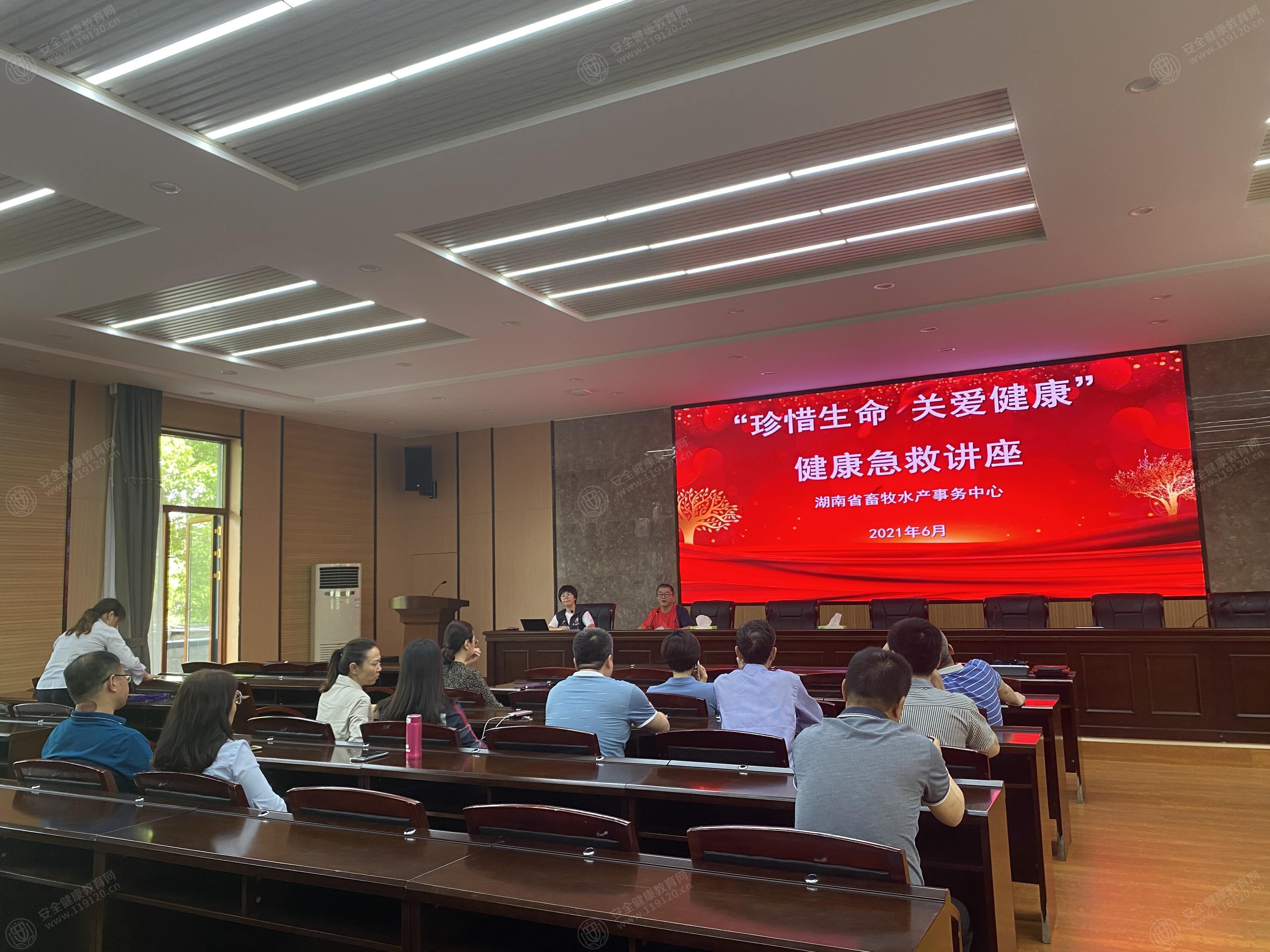 文中图片