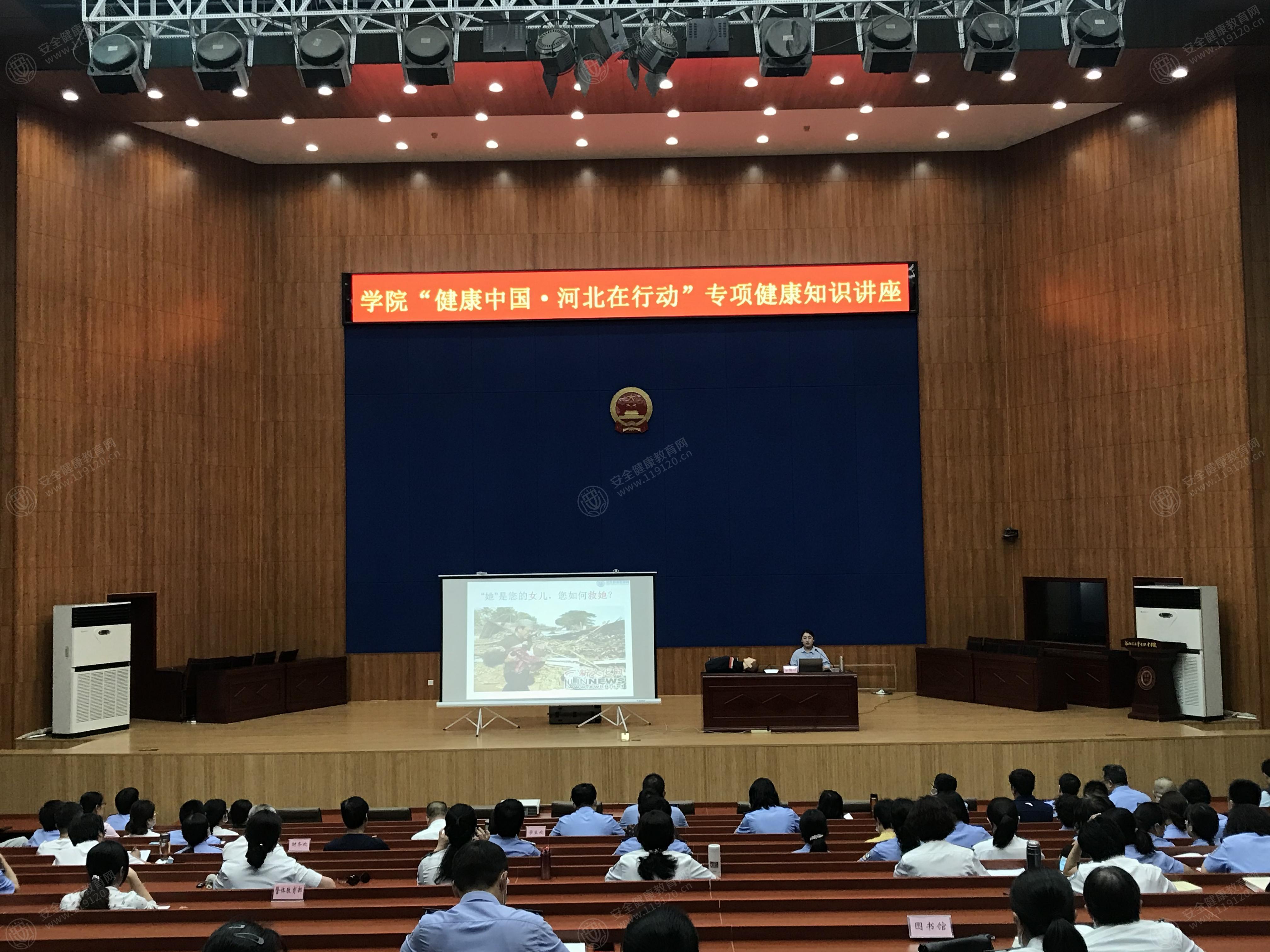 文中图片 文中图片