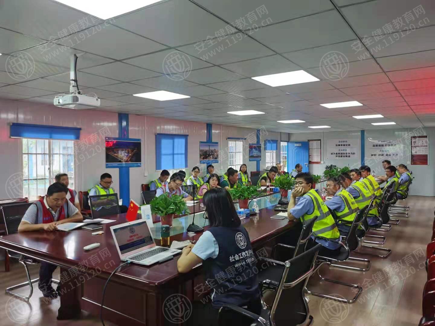 文中图片 文中图片