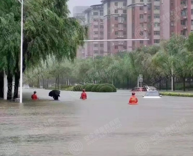 文中图片