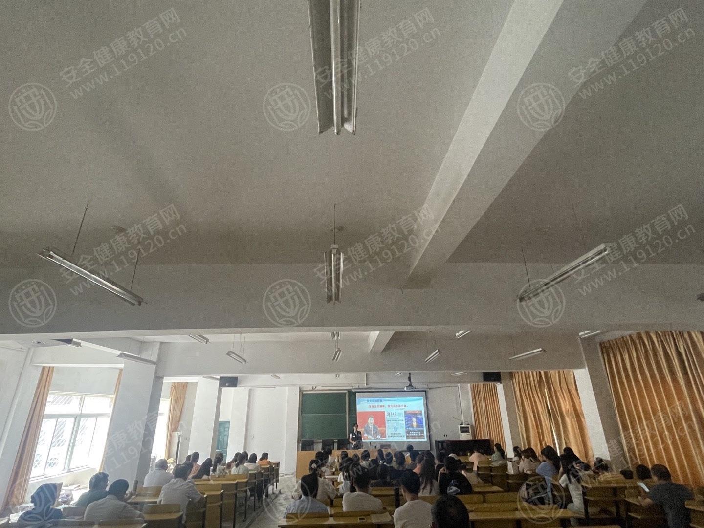 文中图片 文中图片