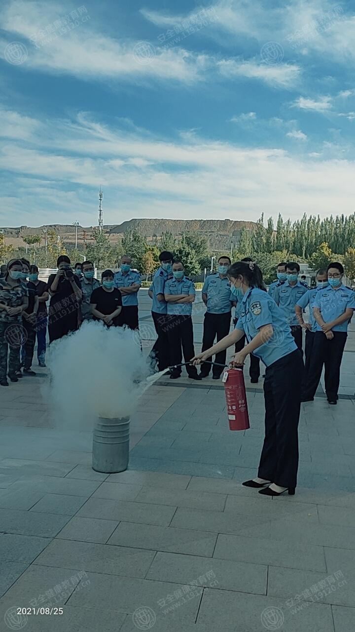 文中图片