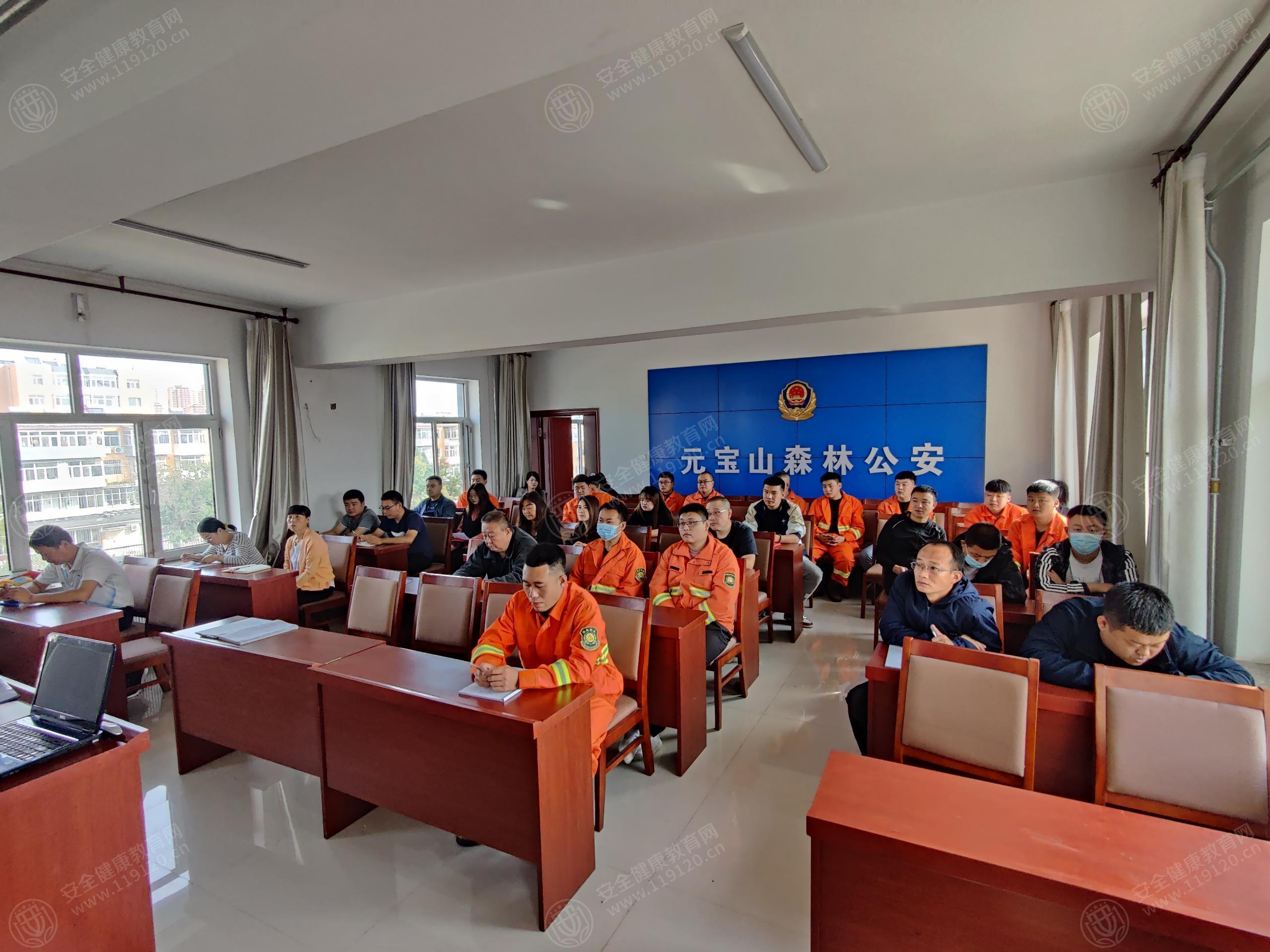 文中图片 文中图片