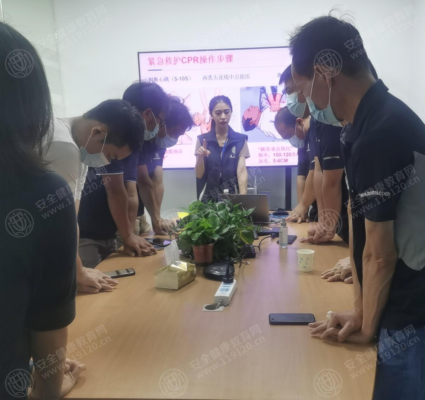 文中图片 文中图片
