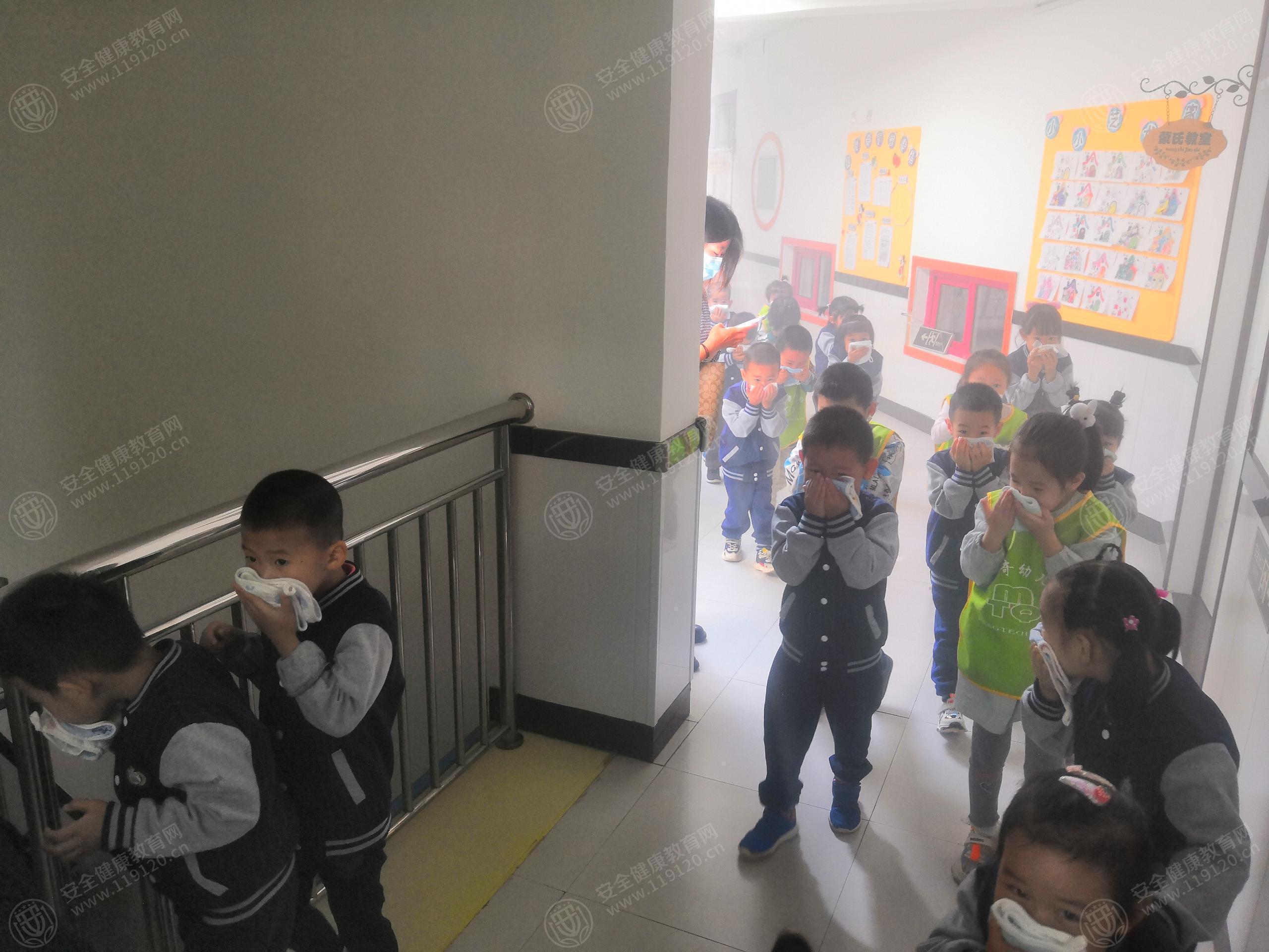 文中图片 文中图片