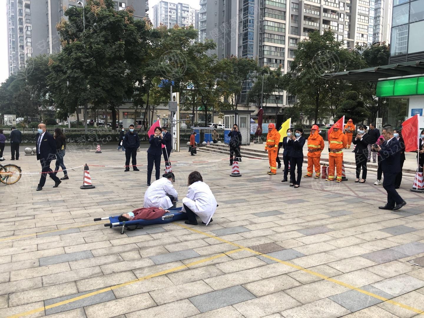 文中图片
