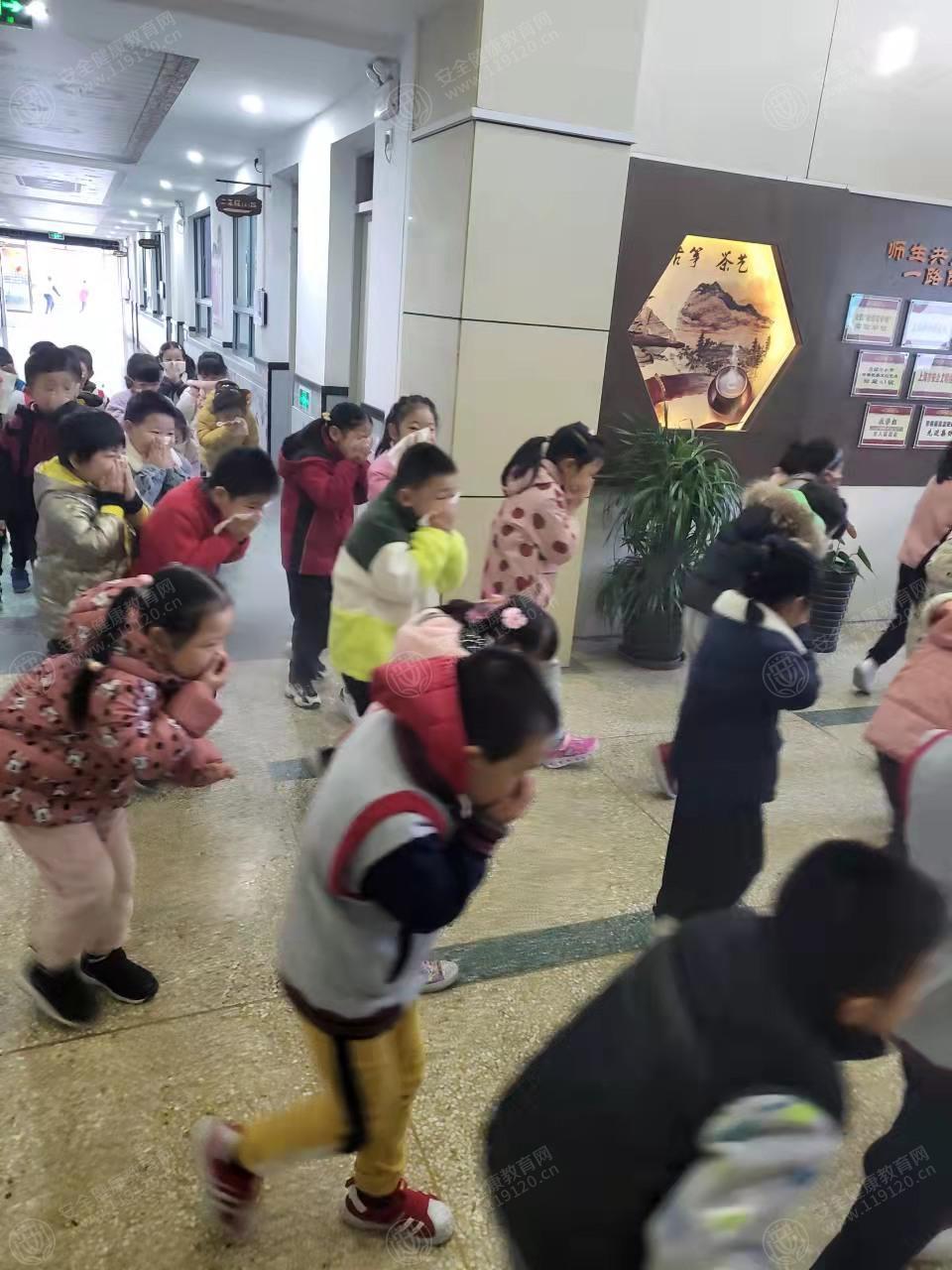 文中图片