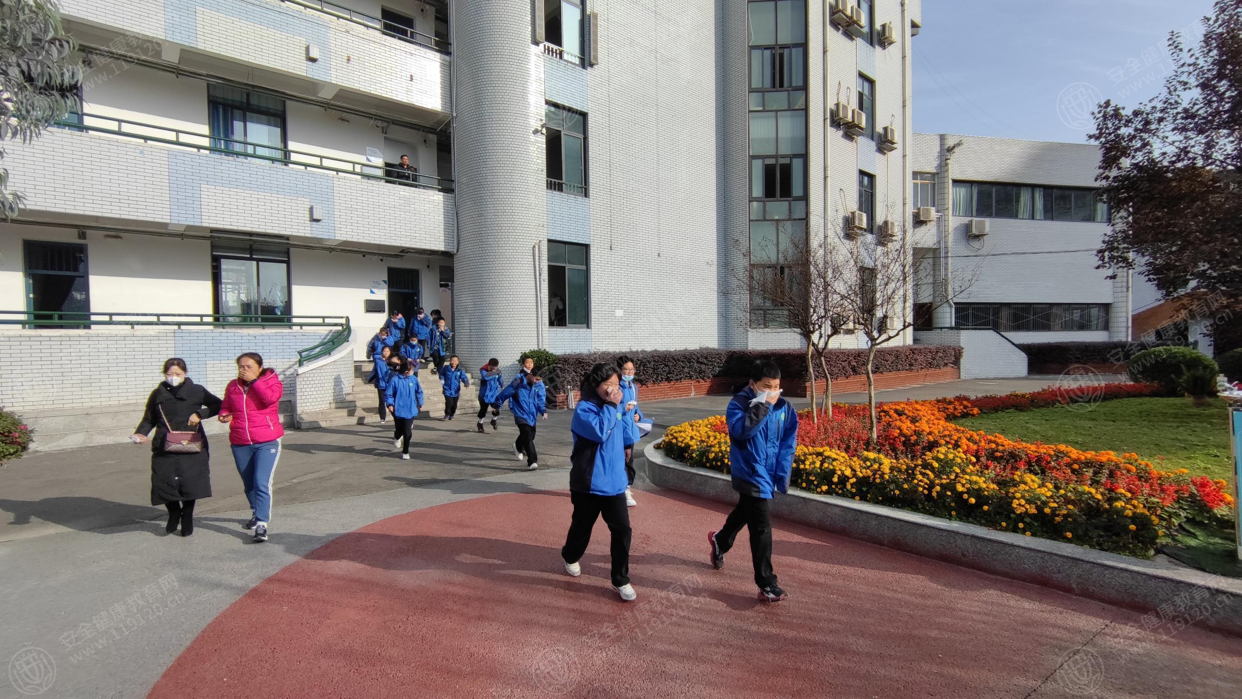 文中图片