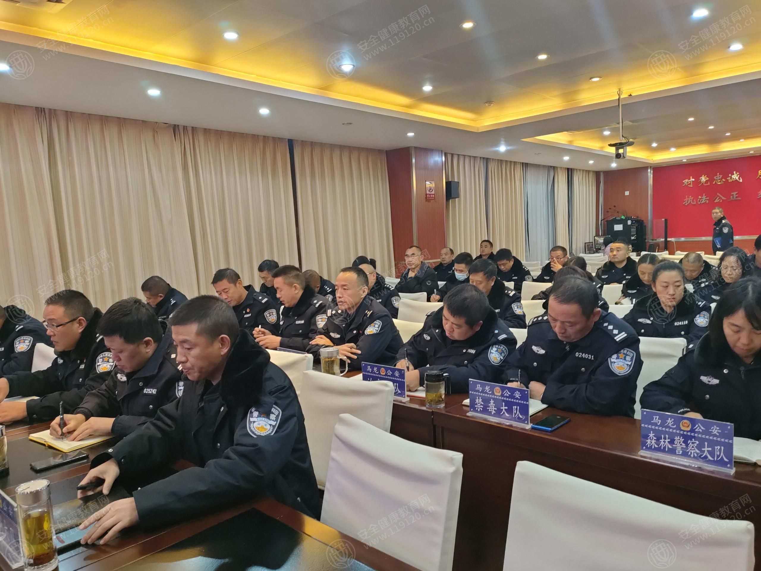 文中图片