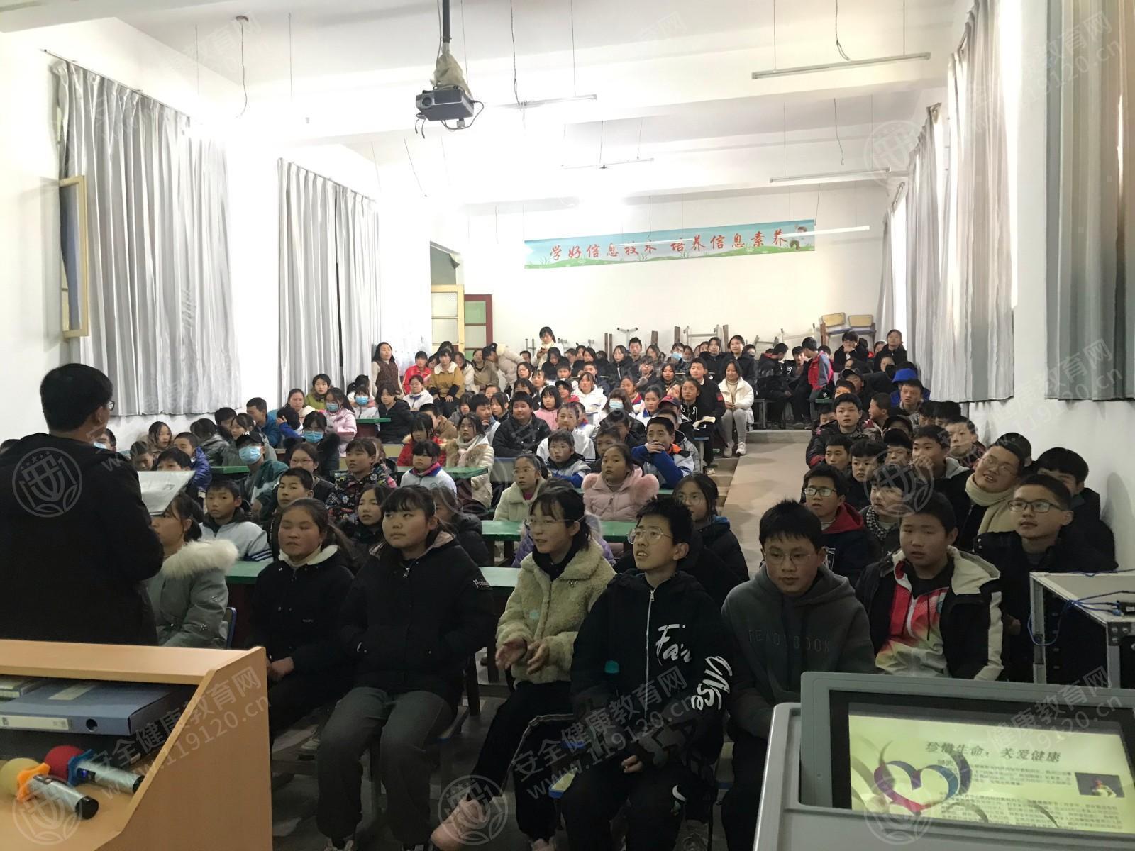 文中图片 文中图片
