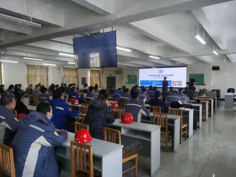 文中图片 文中图片