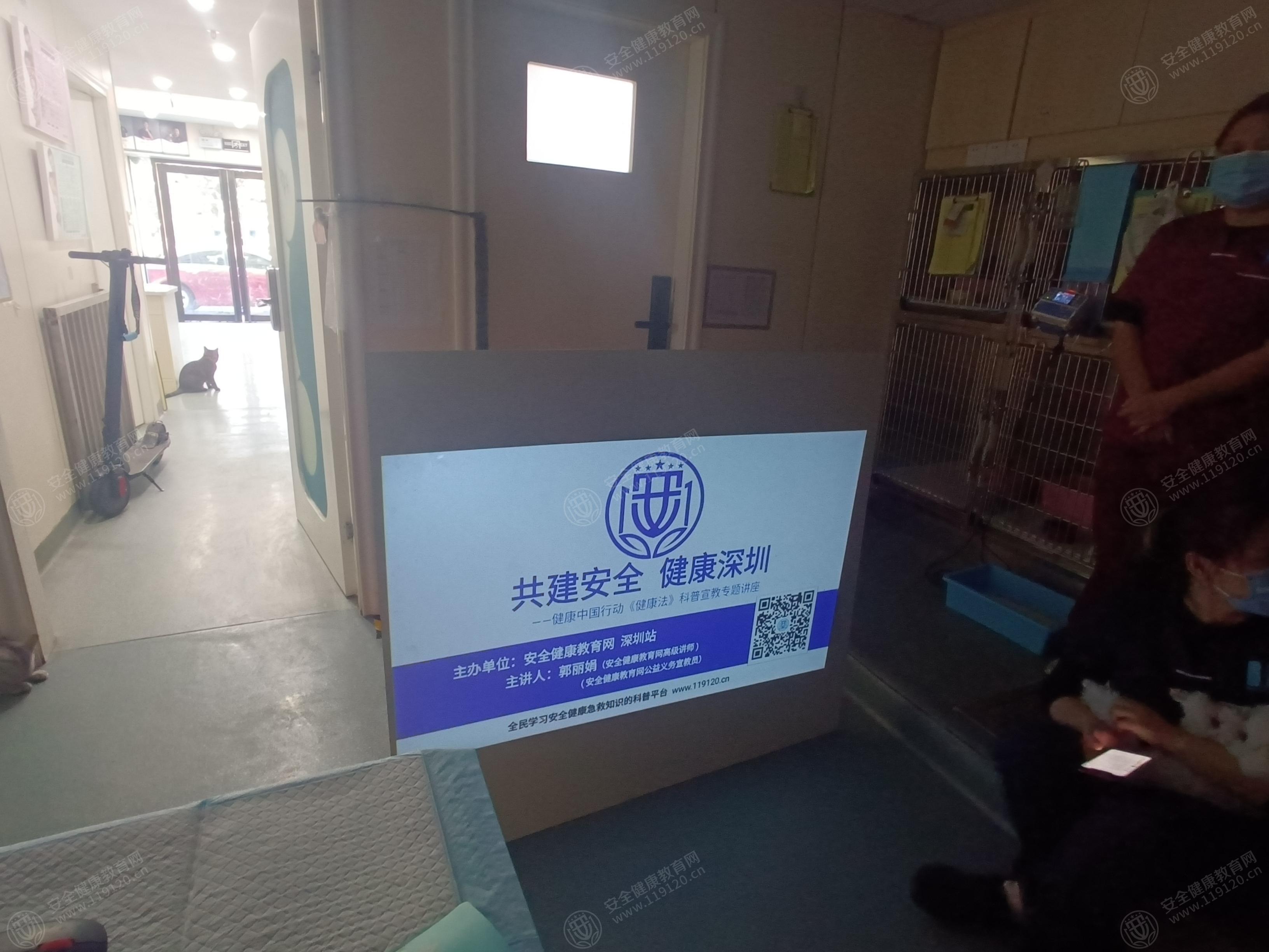 文中图片