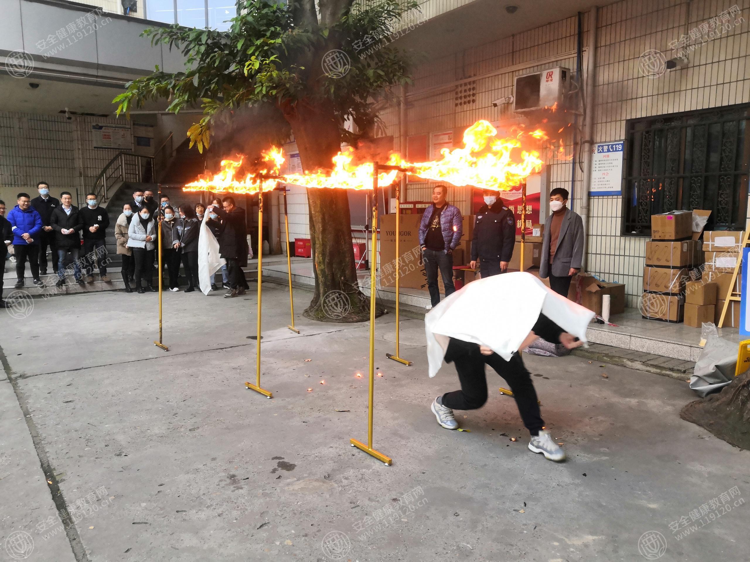 文中图片