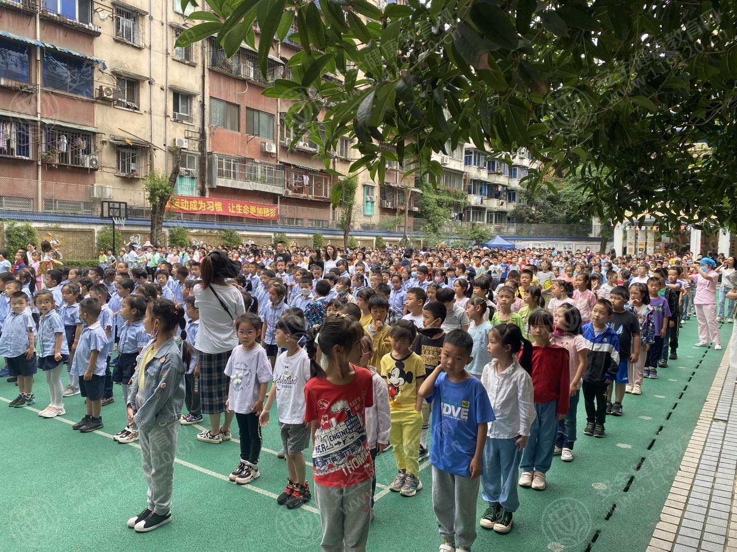 文中图片