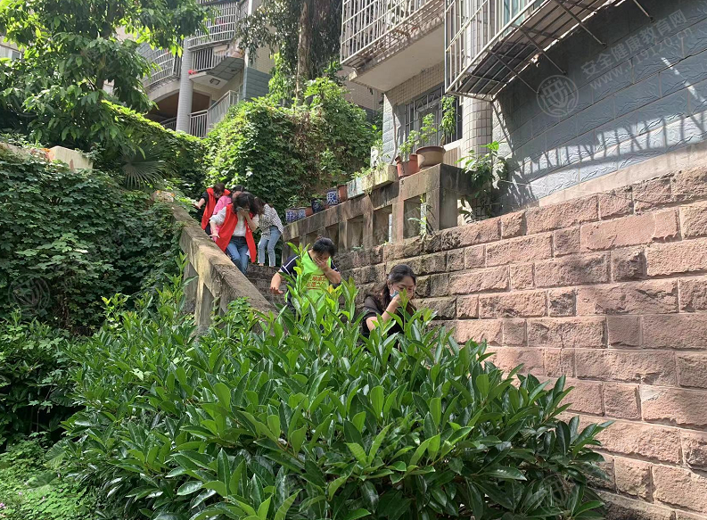 文中图片