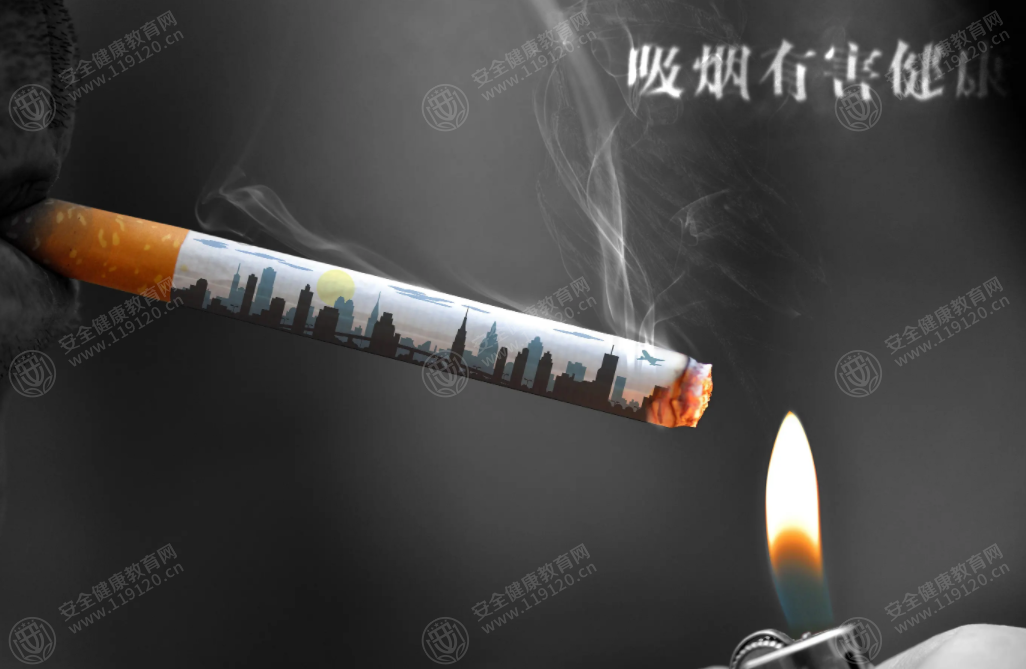 文中图片