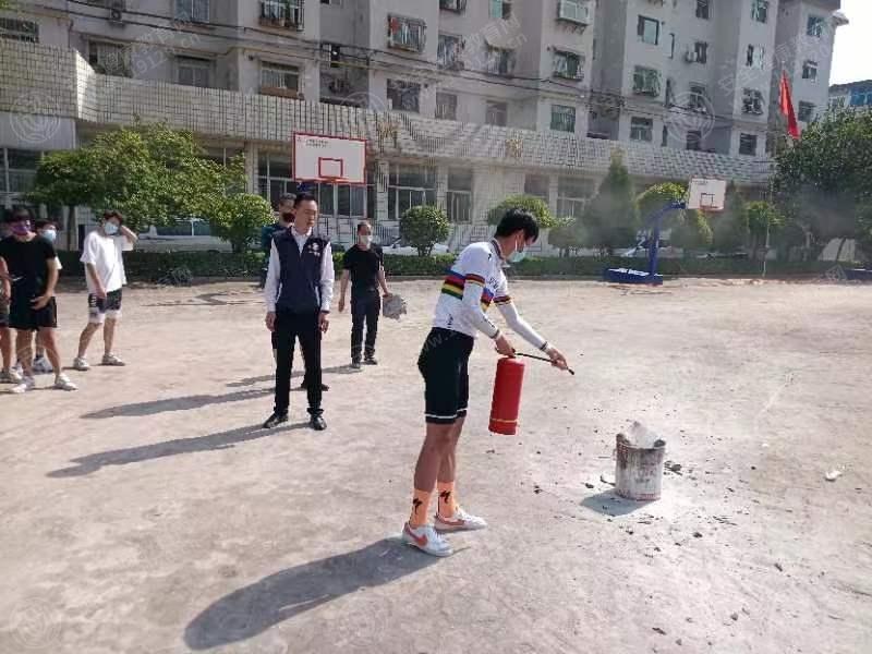 文中图片