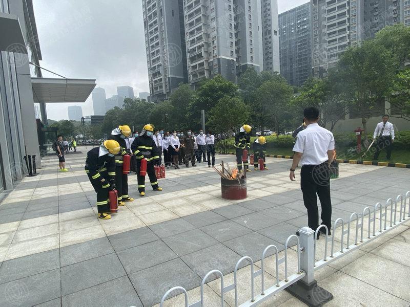 文中图片