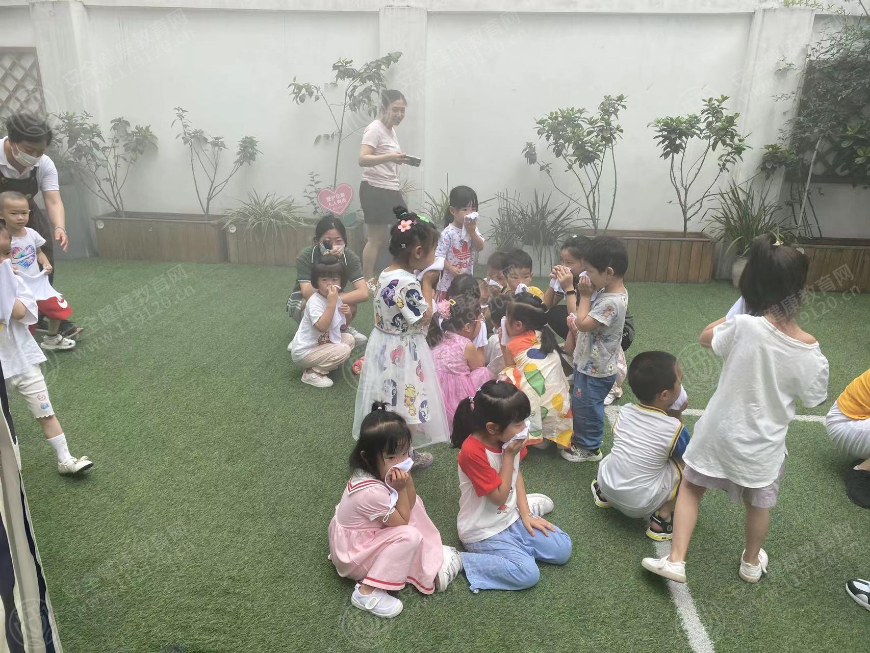 文中图片