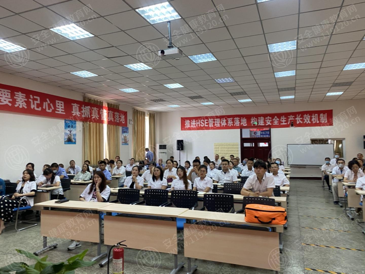 文中图片 文中图片