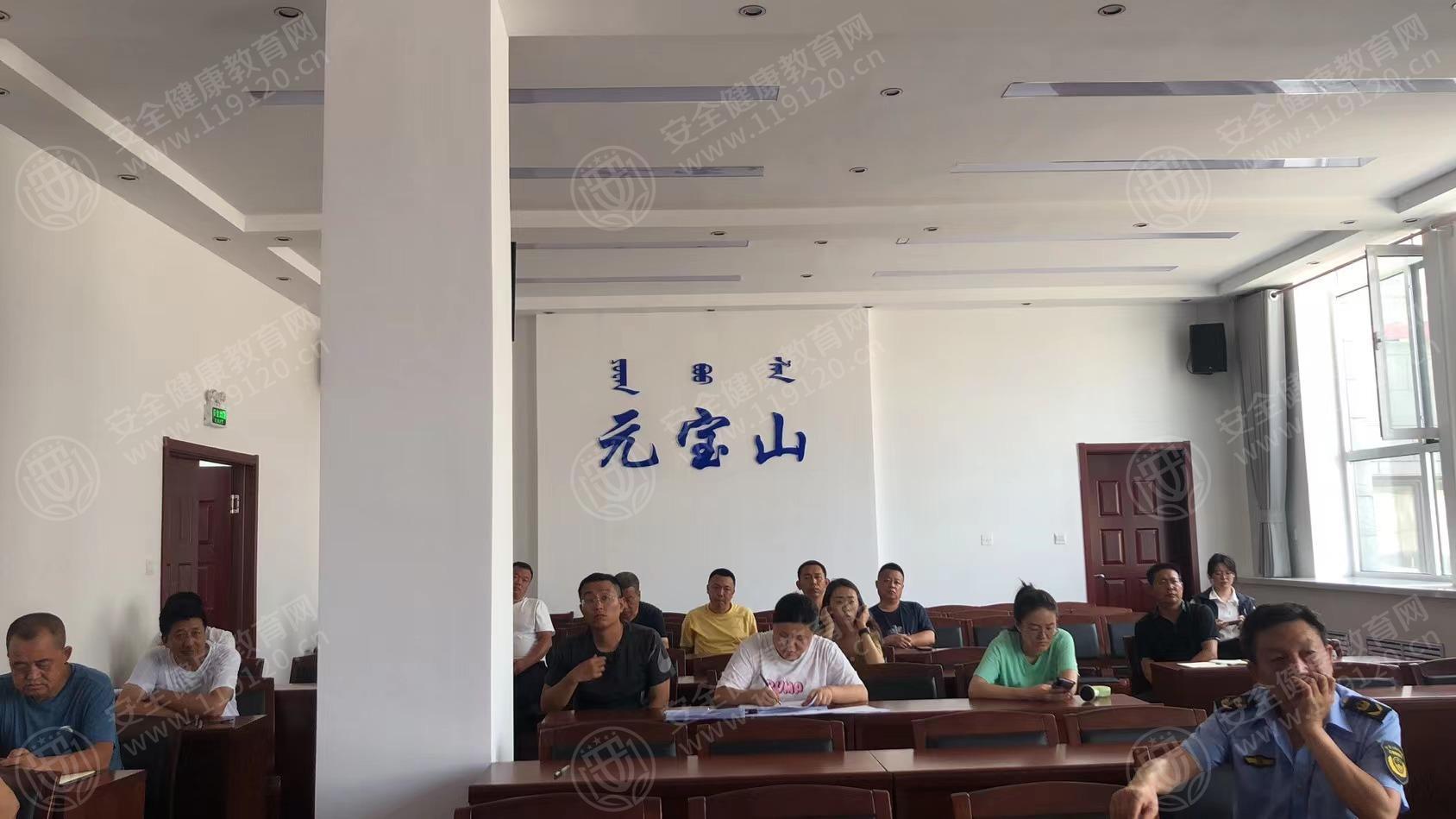 文中图片