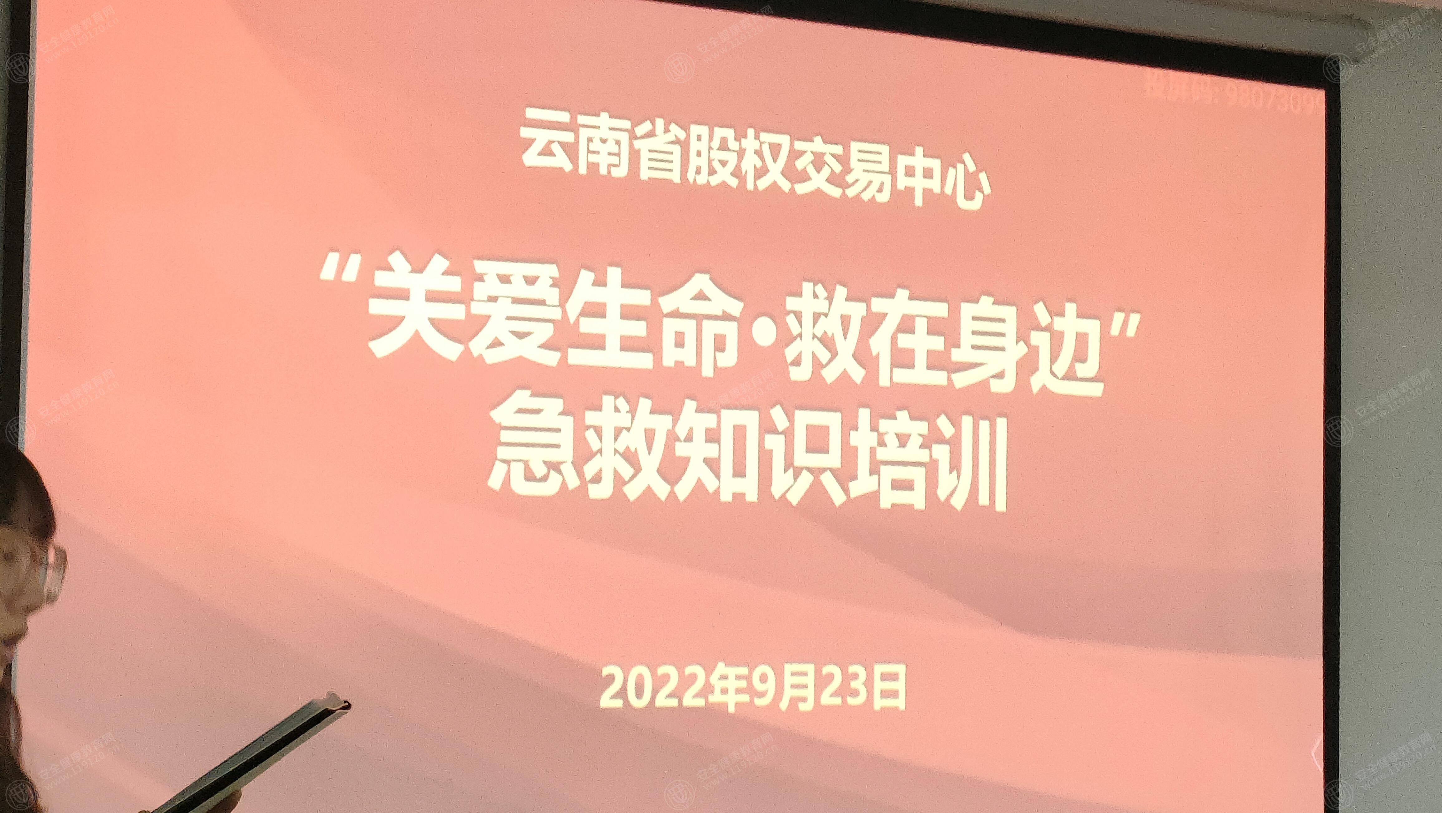 文中图片 文中图片