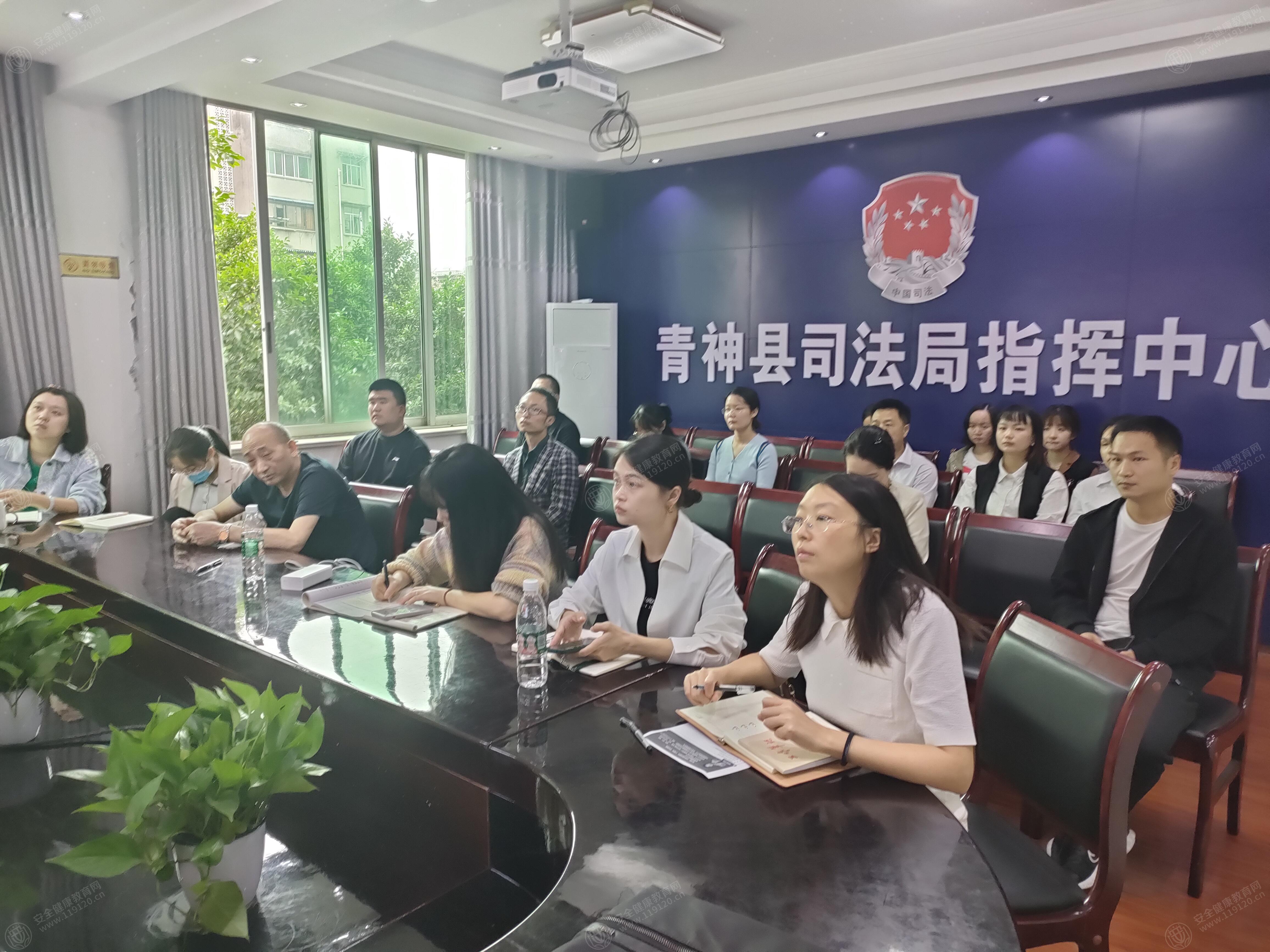文中图片