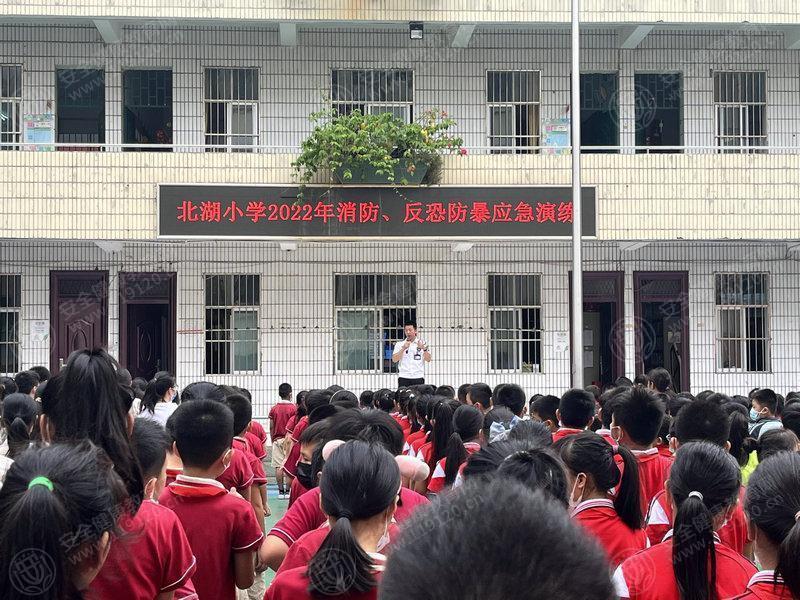 文中图片