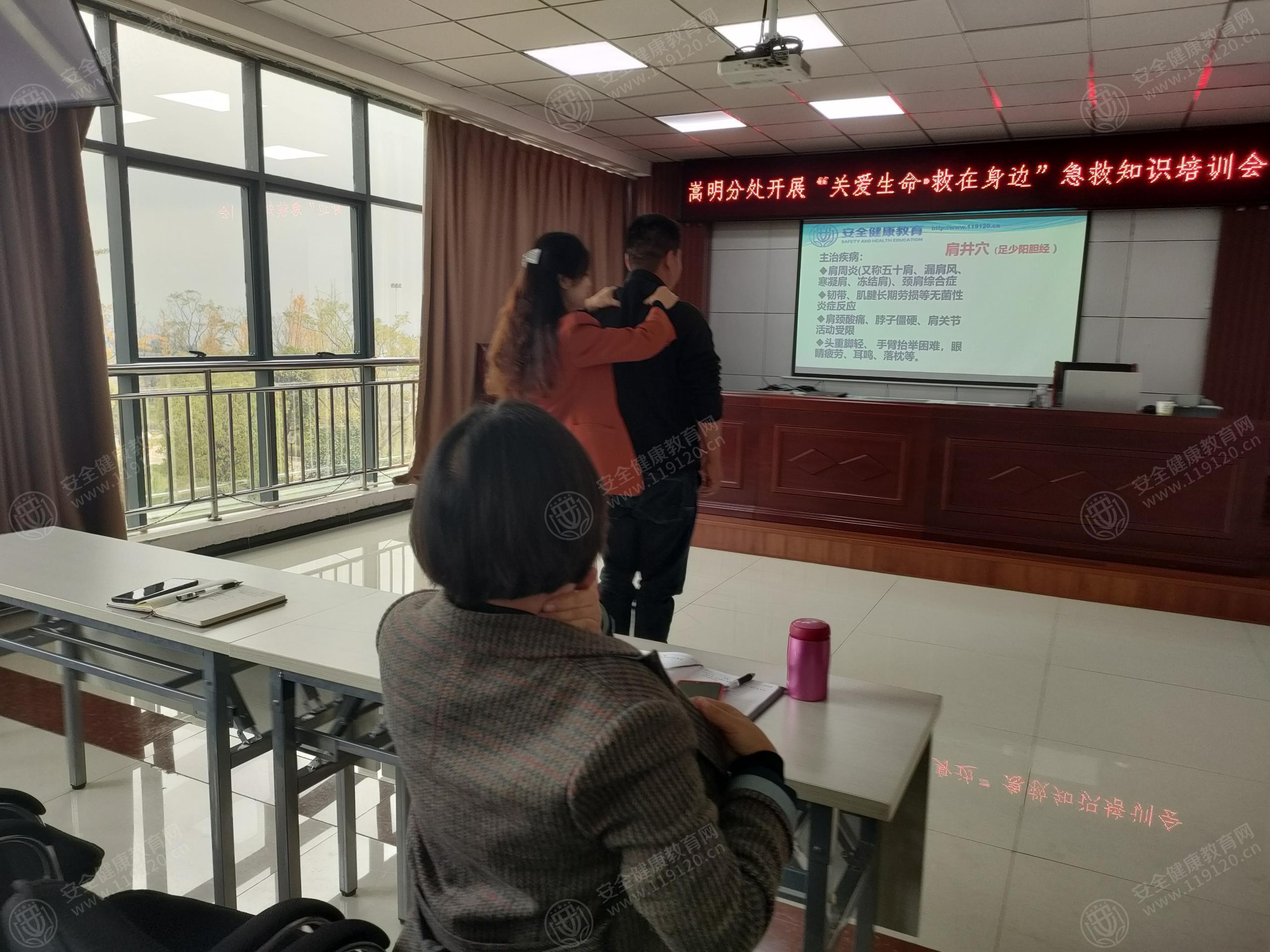 文中图片 文中图片