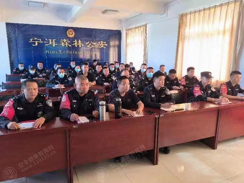 文中图片 文中图片