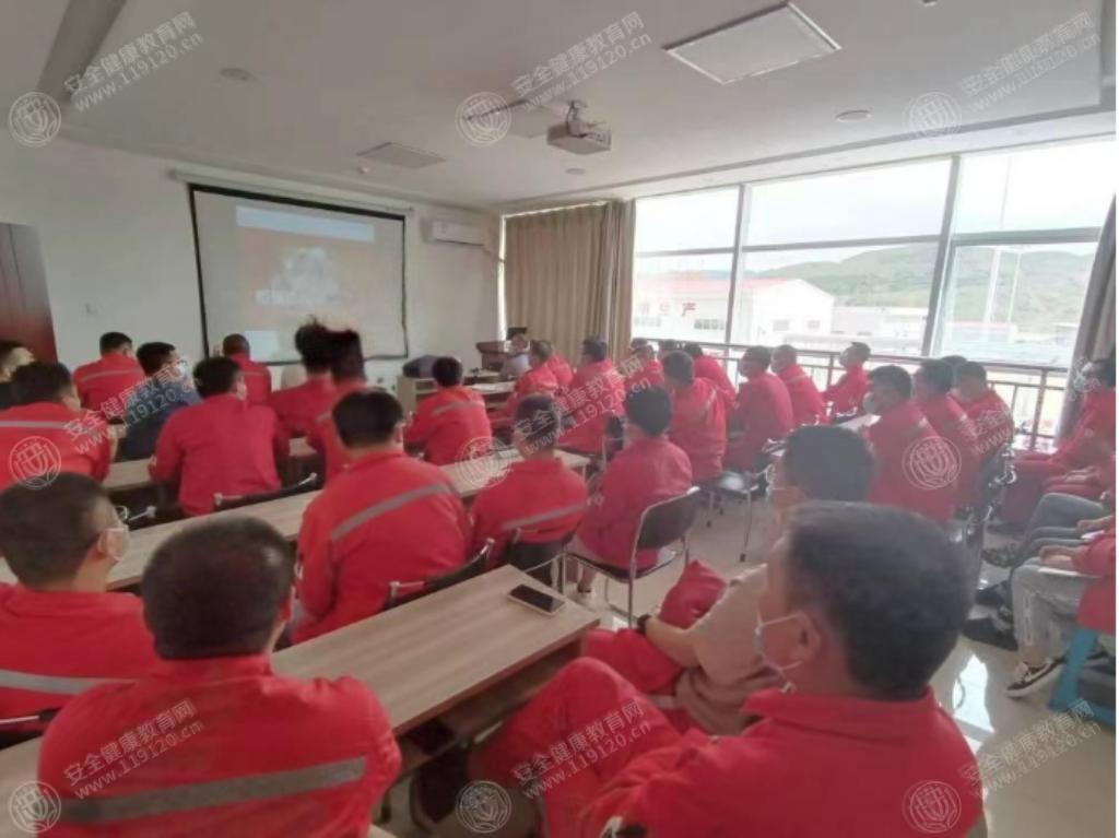 文中图片 文中图片