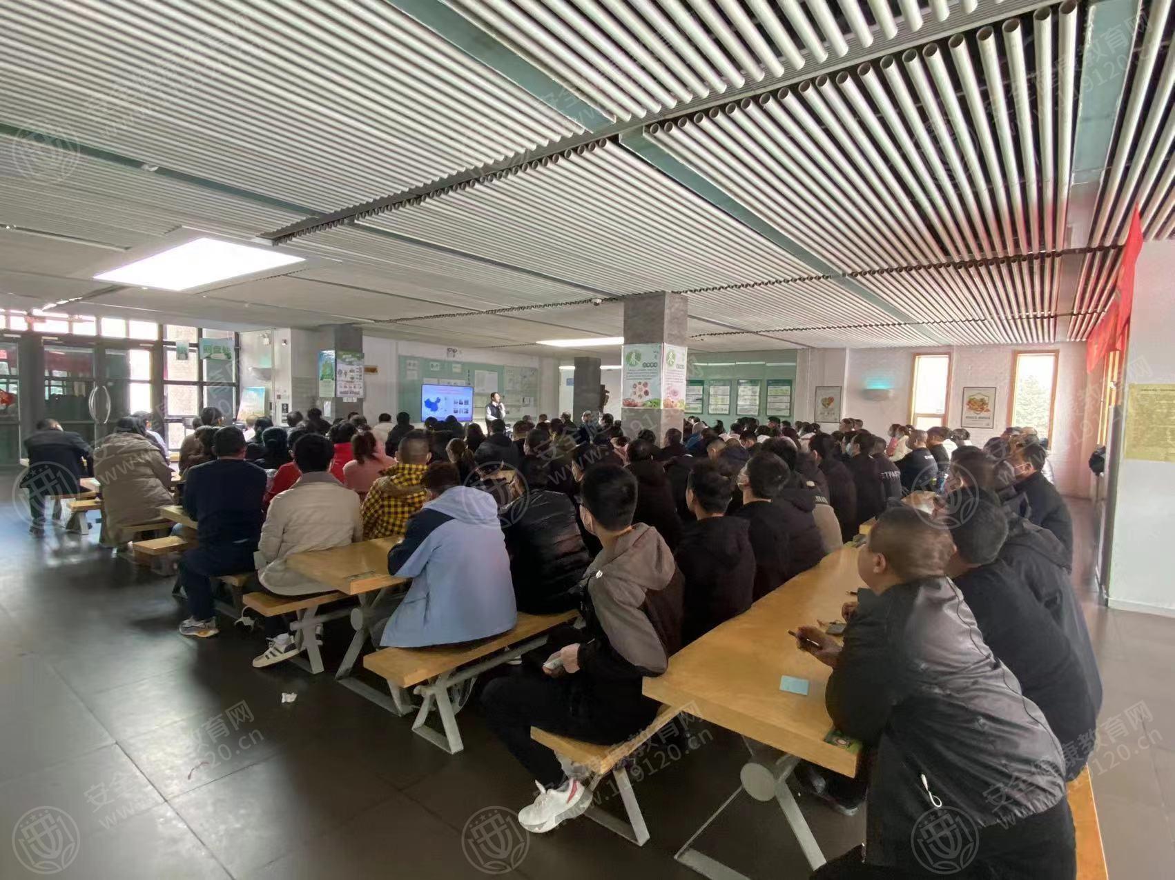 文中图片 文中图片